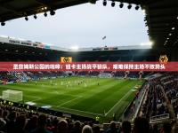 圣詹姆斯公园的咆哮：纽卡主场战平狼队，艰难保持主场不败势头