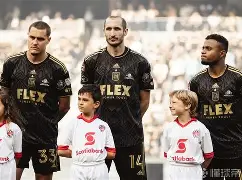 韩国黄龙夺冠震憾北美联赛，雄起位致重返全明星