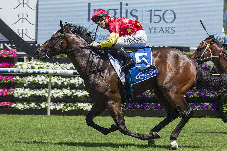 关于皇家马赛客场力克尼斯,取得连胜的信息 关于皇家马赛客场力克尼斯,取得连胜的信息